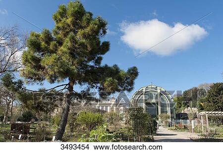 France, Paris, 5th district. Jardin des plantes. Garden of the School of Botany garden and the great greenhouses View Large Photo Image Picture - France, Paris, 5th district. Jardin des plantes. Garden of the School of Botany garden and the great greenhouses. Fotosearch