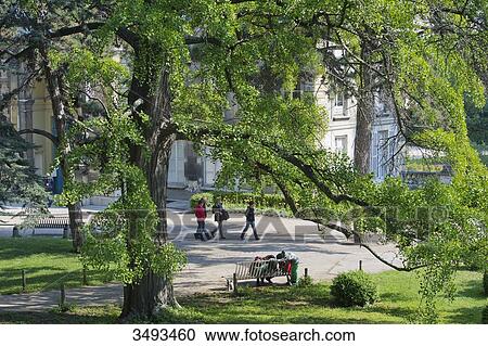 France, Paris, 5th district. Jardin des plantes View Large Photo Image Stock Image - France, Paris, 5th district. Jardin des plantes. Fotosearch