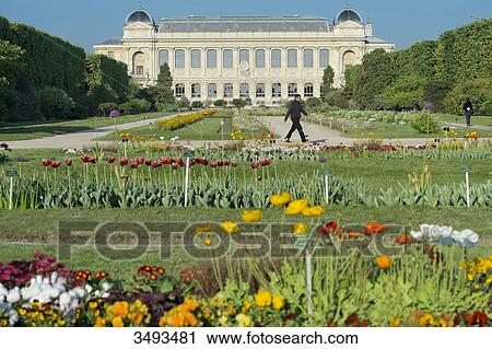France, Paris, 5th district. Jardin des plantes. The Grande Galerie de l'Evolution View Large Photo Image Stock Image - France, Paris, 5th district. Jardin des plantes. The Grande Galerie de l'Evolution. Fotosearch