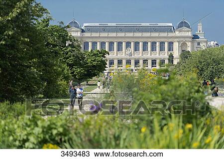 France, Paris, 5th district. Jardin des plantes. The Grande Galerie de l'Evolution View Large Photo Image Stock Image - France, Paris, 5th district. Jardin des plantes. The Grande Galerie de l'Evolution. Fotosearch