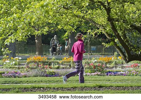 France, Paris, 5th district. Jardin des plantes View Large Photo Image Stock Photo - France, Paris, 5th district. Jardin des plantes. Fotosearch