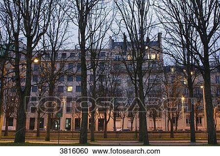 France, Paris, Cours Albert, alignment of trees in winter. View Large Photo Image Stock Image - France, Paris, Cours Albert, alignment of trees in winter.. Fotosearch