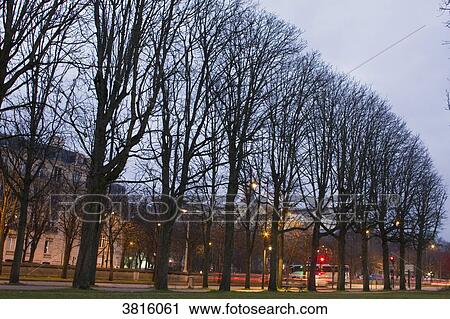 France, Paris, Cours Albert, alignment of trees in winter. View Large Photo Image Stock Image - France, Paris, Cours Albert, alignment of trees in winter.. Fotosearch
