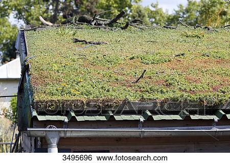 Stock Photograph - France, Paris. Vincennes. Bois de Vincennes. La Ferme de Paris. Organic agriculture and farming educational farm. Green roof.. Fotosearch