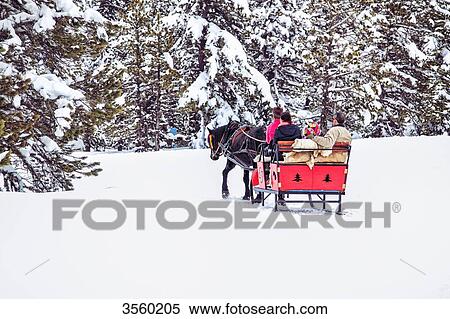 France, Pyrenees, Ariege, Family carriage ride in the forest View Large Photo Image Stock Photography - France, Pyrenees, Ariege, Family carriage ride in the forest. Fotosearch