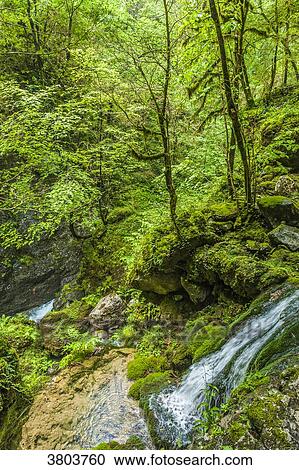 France, Pyrenees, Basque Country, Haute-Soule, Gorges de Kakuetta View Large Photo Image Stock Image - France, Pyrenees, Basque Country, Haute-Soule, Gorges de Kakuetta. Fotosearch