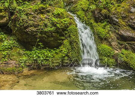 France, Pyrenees, Basque Country, Haute-Soule, Gorges de Kakuetta View Large Photo Image Stock Image - France, Pyrenees, Basque Country, Haute-Soule, Gorges de Kakuetta. Fotosearch