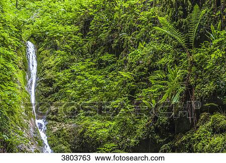 France, Pyrenees, Basque Country, Haute-Soule, Gorges de Kakuetta View Large Photo Image Stock Image - France, Pyrenees, Basque Country, Haute-Soule, Gorges de Kakuetta. Fotosearch