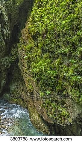 France, Pyrenees, Basque Country, Haute-Soule, Gorges de Kakuetta View Large Photo Image Stock Photo - France, Pyrenees, Basque Country, Haute-Soule, Gorges de Kakuetta. Fotosearch