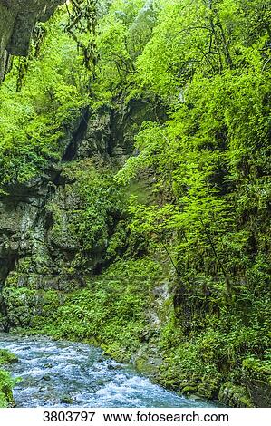 France, Pyrenees, Basque Country, Haute-Soule, Gorges de Kakuetta View Large Photo Image Stock Photo - France, Pyrenees, Basque Country, Haute-Soule, Gorges de Kakuetta. Fotosearch