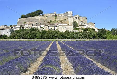 Stock Photography - France, Rhone-Alpes, Drome, Hilltop town of Grignan, Lavender field in foreground. Fotosearch