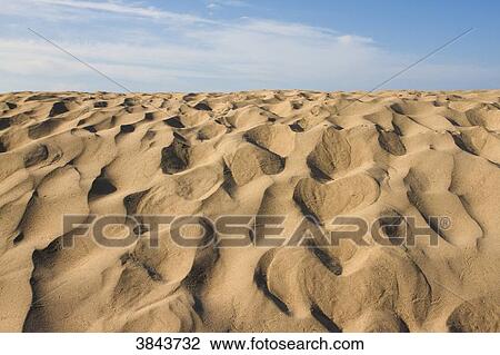 Stock Image - France, Saint-Nazaire, dune on the upper beach.. Fotosearch
