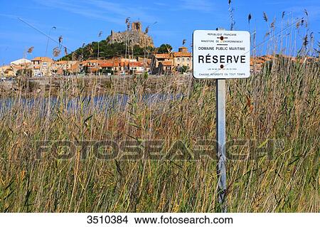 Picture - France, Southern France, Aude, Gruissan. Maritime public property reserve.. Fotosearch