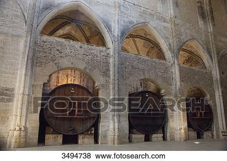 Stock Photo - France, Southern France, Vileveyrac, Cistercian abbey of Holy Mary of Valmagne, 13th century, gothic style, nave turned into a wine storehouse after the Revolution. Fotosearch