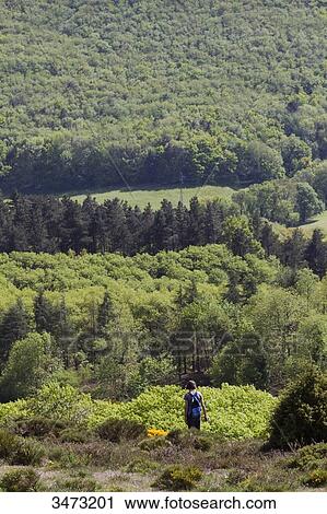 France, The regional natural park of Haut-Languedoc, la Montagne Noire, woman taking a stroll View Large Photo Image Stock Image - France, The regional natural park of Haut-Languedoc, la Montagne Noire, woman taking a stroll. Fotosearch