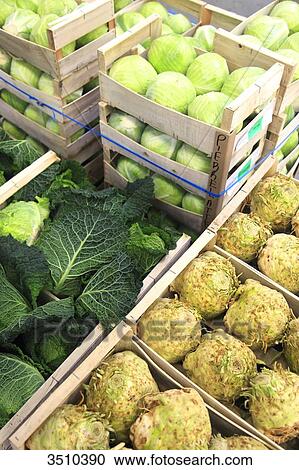 France, vegetables View Large Photo Image Stock Image - France, vegetables. Fotosearch