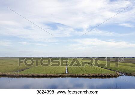 France, Vendee, Bouin, polder. View Large Photo Image Stock Photo - France, Vendee, Bouin, polder.. Fotosearch