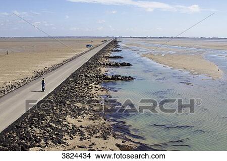 France, Vendee, le Passage du Gois, submersible road leading to the island of Noirmoutier, at low tide. View Large Photo Image Picture - France, Vendee, le Passage du Gois, submersible road leading to the island of Noirmoutier, at low tide.. Fotosearch