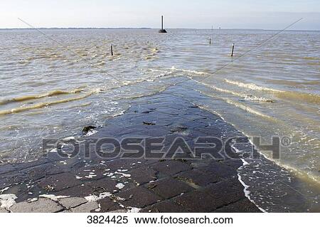 France, Vendee, le Passage du Gois, submersible road. View Large Photo Image Stock Photography - France, Vendee, le Passage du Gois, submersible road.. Fotosearch