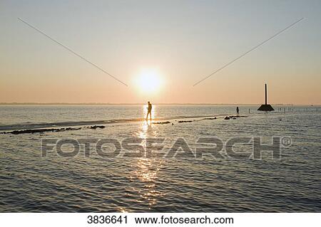 France, Vendee, Passage du Gois, passable road at low tide. View Large Photo Image Stock Image - France, Vendee, Passage du Gois, passable road at low tide.. Fotosearch