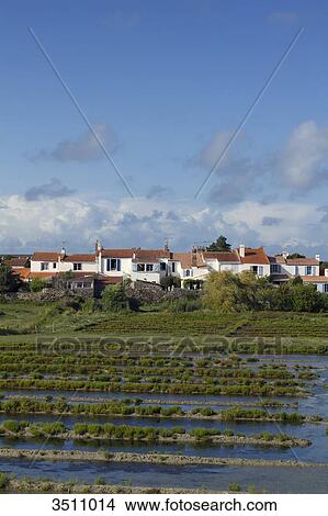 France, Western France, Noirmoutier island, Noirmoutier-en-l'ile. Limit of the natural reserve of Mullemnourg View Large Photo Image Picture - France, Western France, Noirmoutier island, Noirmoutier-en-l'ile. Limit of the natural reserve of Mullemnourg. Fotosearch