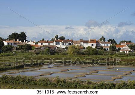 Stock Photography - France, Western France, Noirmoutier island, Noirmoutier-en-l'ile. Salt marshes. Fotosearch