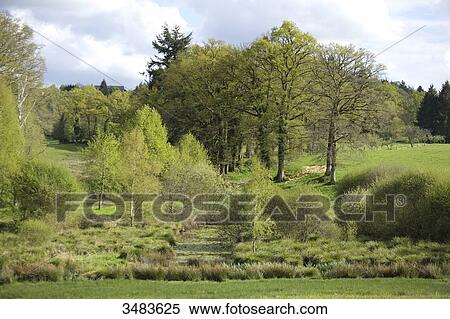 French countryside View Large Photo Image Stock Photography - French countryside. Fotosearch
