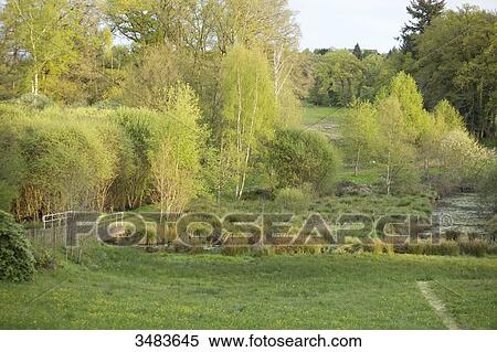 French countryside View Large Photo Image Stock Photography - French countryside. Fotosearch
