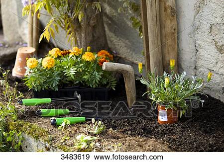 Garden tools in the ground View Large Photo Image Stock Photo - Garden tools in the ground. Fotosearch