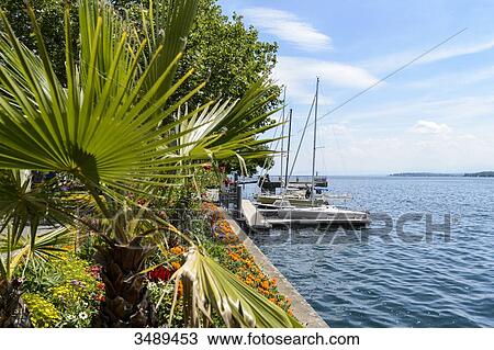 Stock Image - Germany, Baden-Wurttemberg, Medieval town of berlingen on Lake Constance. Fotosearch