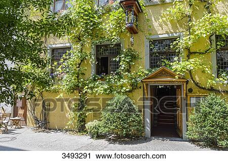 Germany, Baden-Wurttemberg, Medieval town of Meersburg on Lake Constance. House facade with green foliage and Virginia creeper View Large Photo Image Stock Image - Germany, Baden-Wurttemberg, Medieval town of Meersburg on Lake Constance. House facade with green foliage and Virginia creeper. Fotosearch