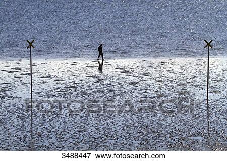 Germany, Dagebll. Schleswig-Holstein. View Large Photo Image Stock Photo - Germany, Dagebll. Schleswig-Holstein.. Fotosearch