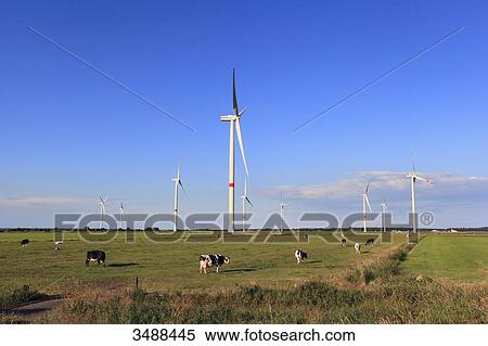 Germany, Dagebll. Schleswig-Holstein. View Large Photo Image Stock Photography - Germany, Dagebll. Schleswig-Holstein.. Fotosearch