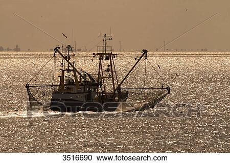 Germany, Lower Saxony. Borkum Island. Trawler. View Large Photo Image Stock Image - Germany, Lower Saxony. Borkum Island. Trawler.. Fotosearch