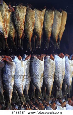 Stock Image - Herrings in a traditional smoking-room. Fotosearch
