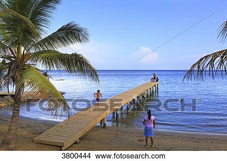 Honduras, Islas de la Bahia, Roatan Island. Coxen Hole View Large Photo Image Picture - Honduras, Islas de la Bahia, Roatan Island. Coxen Hole. Fotosearch