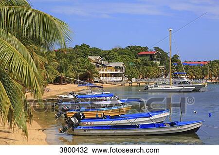 Honduras, Islas de la Bahia, Roatan Island. West End. Half Moon Bay. View Large Photo Image Stock Image - Honduras, Islas de la Bahia, Roatan Island. West End. Half Moon Bay.. Fotosearch