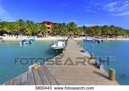 Honduras, Islas de la Bahia, Roatan Island. West Bay. Mahogany Bay View Large Photo Image Stock Image - Honduras, Islas de la Bahia, Roatan Island. West Bay. Mahogany Bay. Fotosearch