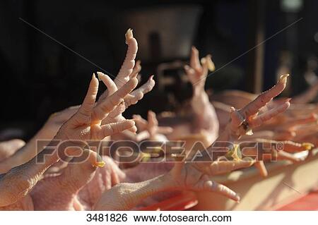 Indonesia, Bali, Denpasar, the market. Chicken legs. View Large Photo Image Stock Photograph - Indonesia, Bali, Denpasar, the market. Chicken legs.. Fotosearch