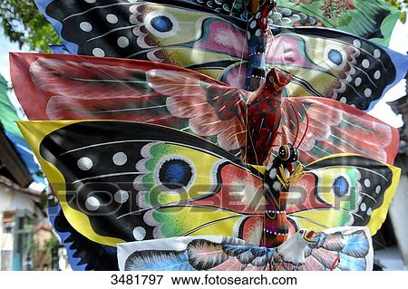 Indonesia, Bali, Kites. Butterflies View Large Photo Image Stock Photo - Indonesia, Bali, Kites. Butterflies. Fotosearch