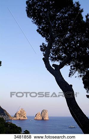 Italy, Amalfi Coast, Capri, Sunset on the Faraglioni. The Faraglioni are Capri's 3 mythical rocks. Seen from the Marina Piccola View Large Photo Image Stock Photo - Italy, Amalfi Coast, Capri, Sunset on the Faraglioni. The Faraglioni are Capri's 3 mythical rocks. Seen from the Marina Piccola. Fotosearch