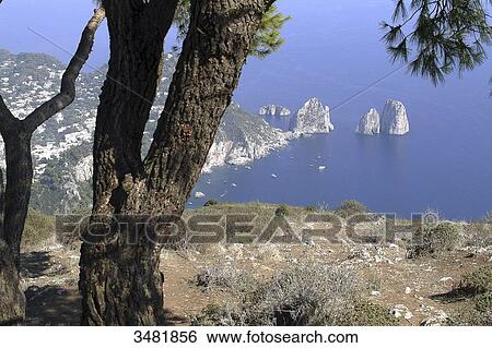 Italy, Amalfi Coast, The Faraglioni are Capri's 3 mythical rocks, seen from the Marina Piccola View Large Photo Image Stock Photograph - Italy, Amalfi Coast, The Faraglioni are Capri's 3 mythical rocks, seen from the Marina Piccola. Fotosearch