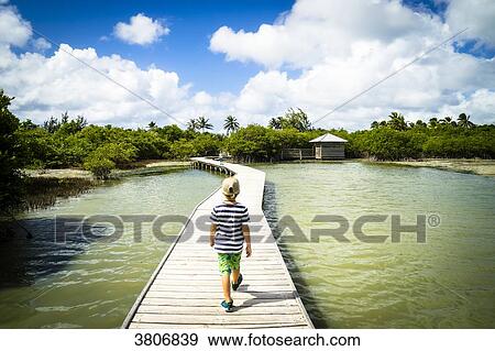 Stock Photo - Kid walking, Etang des Salines, Martinique, France. Fotosearch