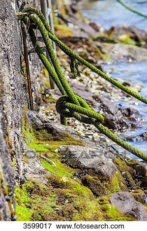 Knot in the harbour of Castro Urdiales, Spain View Large Photo Image Stock Photo - Knot in the harbour of Castro Urdiales, Spain. Fotosearch