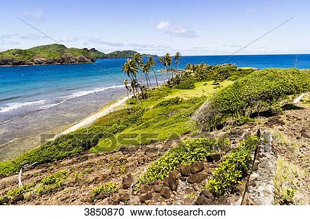 Landscape of coconut trees, rocks and sea, Petit Nevis, Saint-Vincent and the Grenadines, West Indies View Large Photo Image Stock Image - Landscape of coconut trees, rocks and sea, Petit Nevis, Saint-Vincent and the Grenadines, West Indies. Fotosearch