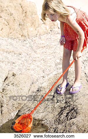 Little girl fishing with a dip net View Large Photo Image Stock Photo - Little girl fishing with a dip net. Fotosearch