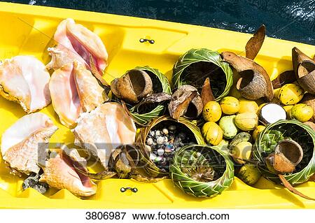 local craft: lambi, braided basket, Anse cochon, Sainte-Lucia, West Indies View Large Photo Image Stock Photo - local craft: lambi, braided basket, Anse cochon, Sainte-Lucia, West Indies. Fotosearch