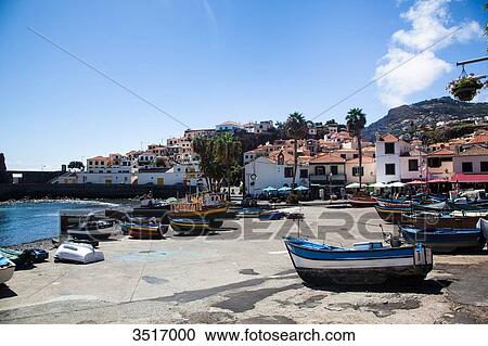 Madeira Island, Camara de Lobos, harbor views View Large Photo Image Stock Image - Madeira Island, Camara de Lobos, harbor views. Fotosearch
