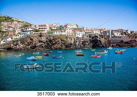 Madeira Island, Camara de Lobos, harbor views View Large Photo Image Stock Image - Madeira Island, Camara de Lobos, harbor views. Fotosearch