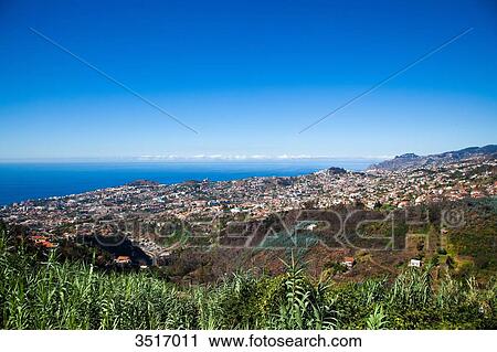 Madeira Island, Funchal View Large Photo Image Stock Image - Madeira Island, Funchal. Fotosearch
